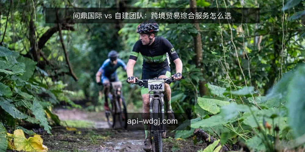 问鼎国际 vs 自建团队：跨境贸易综合服务怎么选 — 先厘清决策标准：什么情况下才需要外部综合服务 配图