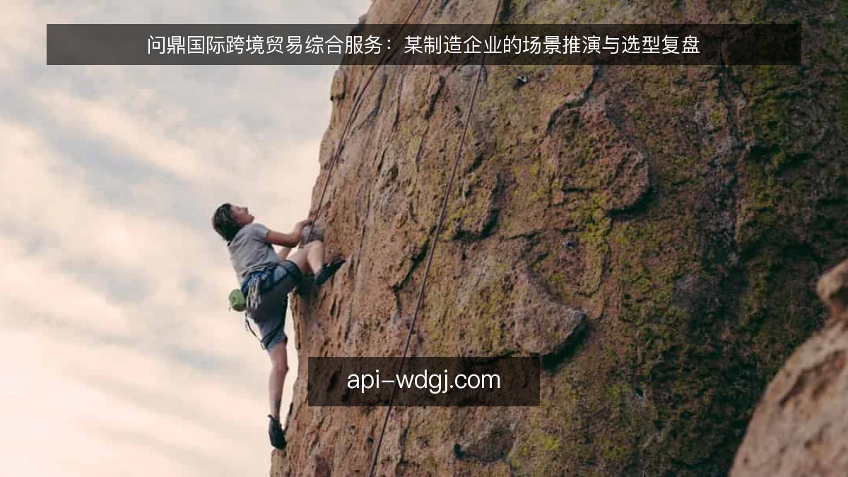 问鼎国际跨境贸易综合服务：某制造企业的场景推演与选型复盘