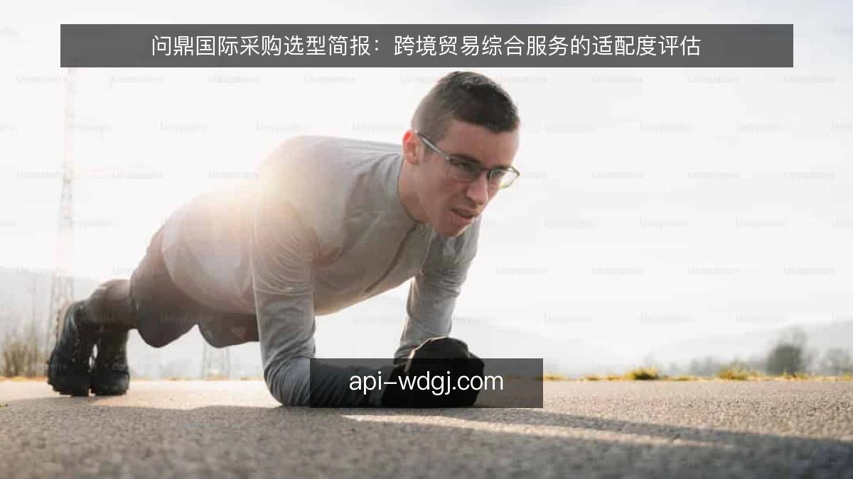 问鼎国际采购选型简报：跨境贸易综合服务的适配度评估