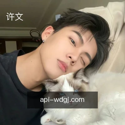 许文